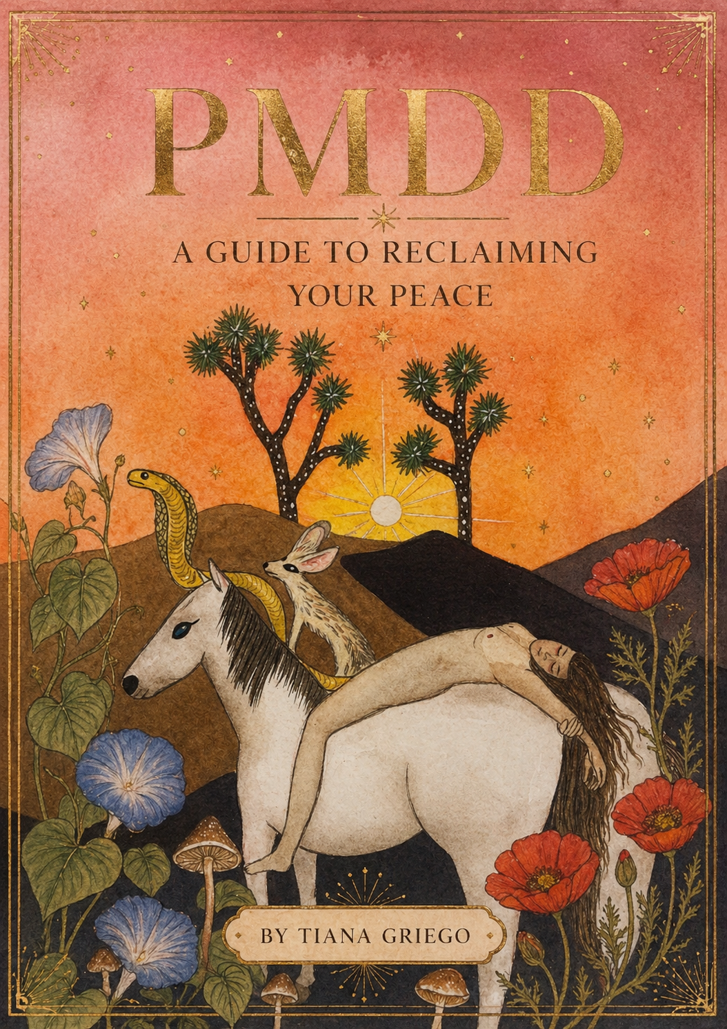 PMDD Guidebook