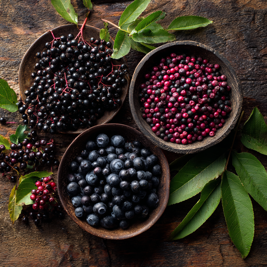 Berry Beautiful- Beauty Elixir for Skin, Blood & Vitality