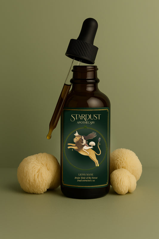 Lion’s Mane | Brain & Nerve Elixir